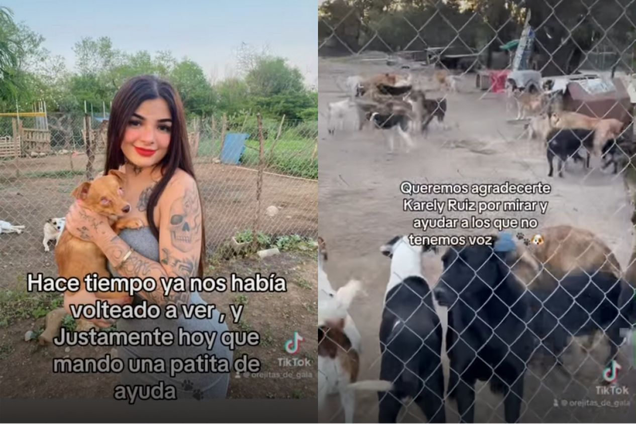 Cumple Karely Ruiz con donación para "Orejitas de Gala" y promete visita al albergue