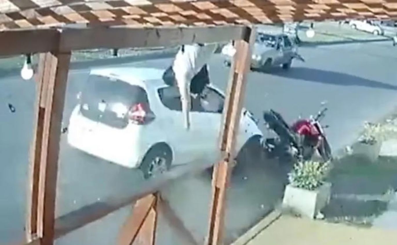 Mujer atropella y mata a hombre que iba a festejar su cumpleaños: "estaba alcoholizada y drogada"