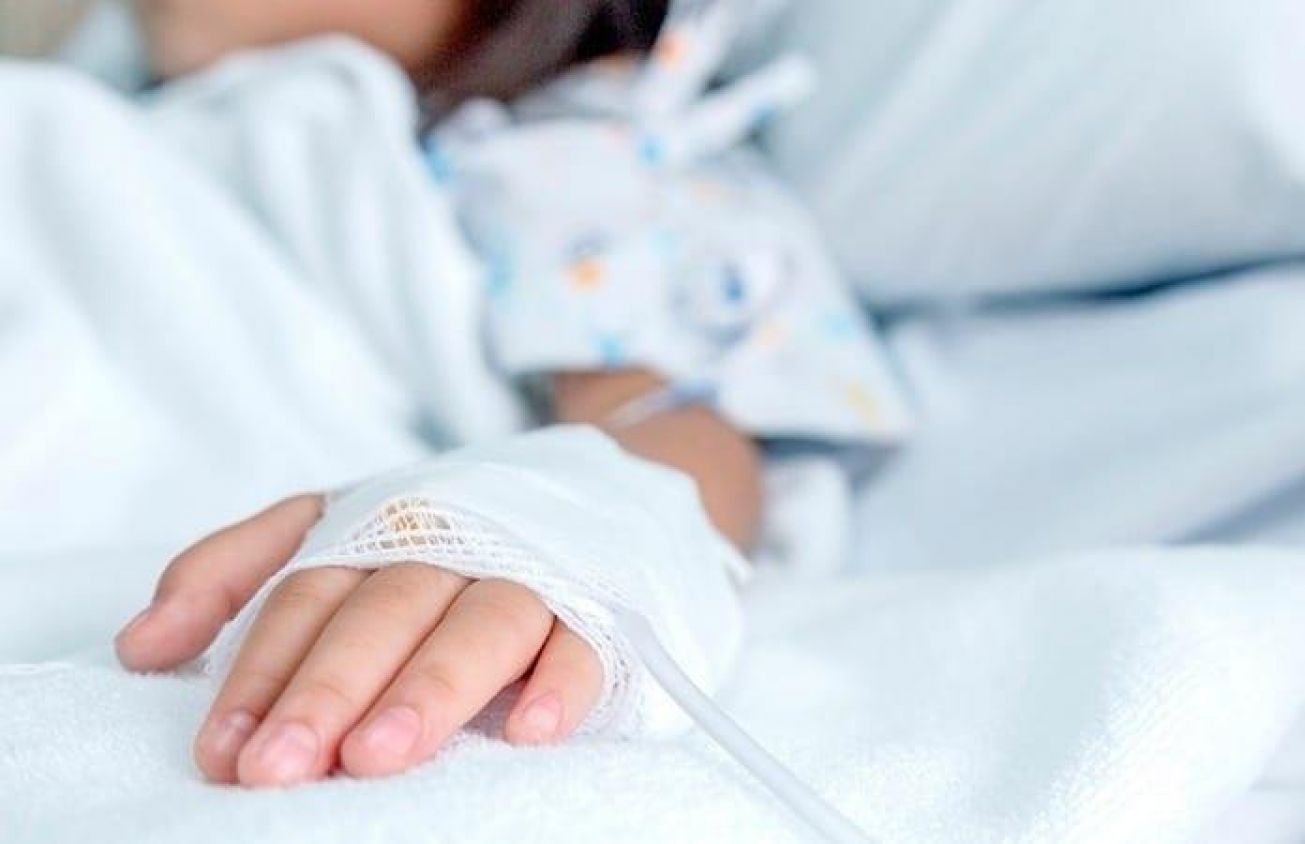 Casos de rabia en aumento: La Secretaría de Salud emite aviso epidemiológico