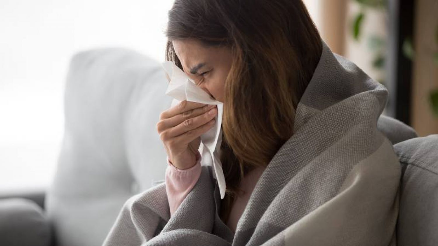 ¡Ahí viene la gripe aviar! OMS advierte sobre posible brote en humanos