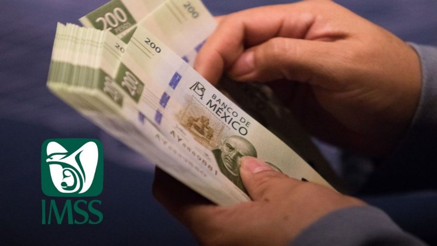 Pensión IMSS 2023: Todo lo que debes saber 