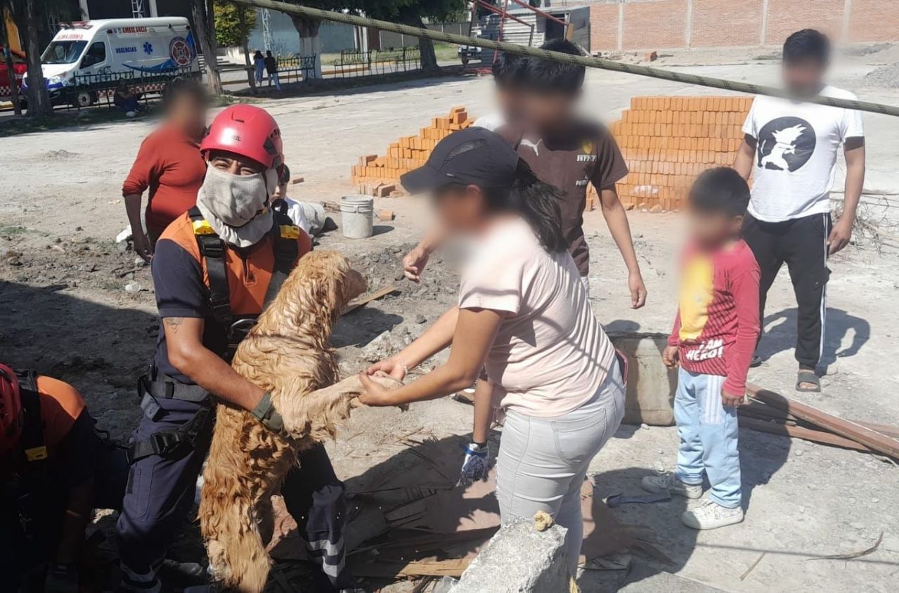Tras caer 8 metros en un pozo, bomberos de San Andrés Cholula rescatan a dos canes