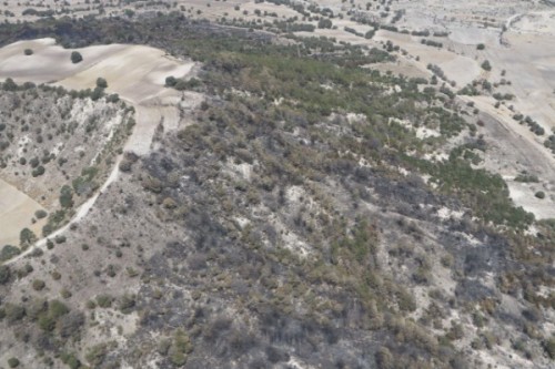Incendio forestal de Libres deja 120 hectáreas dañadas 