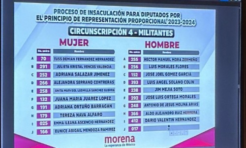 Cinco poblanos aparecen en la lista de plurinominales de Morena