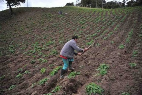  Al 94.94% afectaciones de sequía en unidades de producción agrícola en Tlaxcala