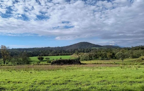 Regístrate en Fertilizantes para el Bienestar 2025 y apoya tu producción agrícola