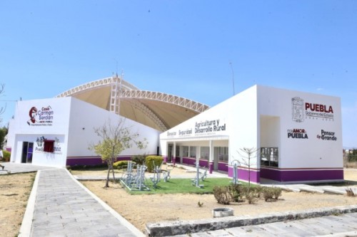 Más del 70% de las denuncias recibidas en Casas Carmen Serdán son por violencia familiar