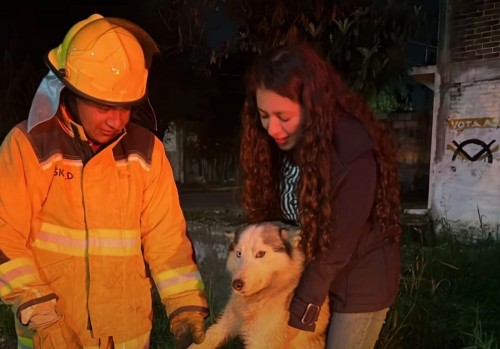 Rescatan a perro que cayó a un río en Cuautlancingo