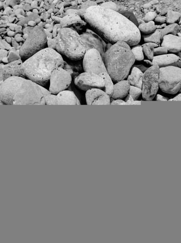Sepultado entre rocas: macabro hallazgo en rancho de ex gobernador
