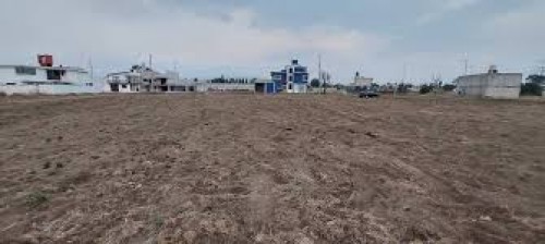 Delincuentes golpean a adulta mayor tras fingir ser vendedores en Tetela