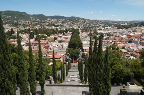 Tlaxcala lidera precios del tomate verde con hasta $49.90 por kilo