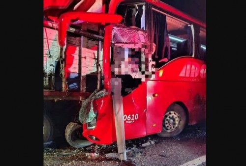 Fatal choque entre autobús ADO y tráiler en autopista de Veracruz