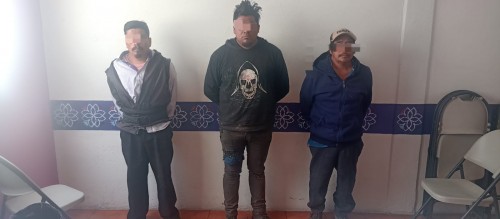 Detienen a “Los Capotes” por saqueo forestal en la Malinche