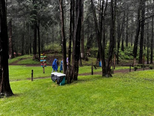 Tlaxcala refuerza vigilancia ambiental en temporada de luciérnagas