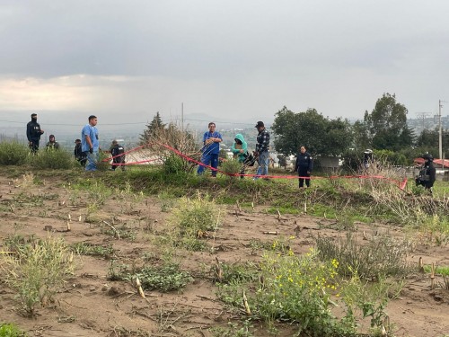 Hallan cráneo humano en terrenos de cultivo de Terrenate; FGJE investiga