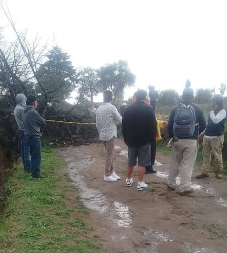 Buscaba refugio de la lluvia y le cae árbol encima en Nanacamilpa