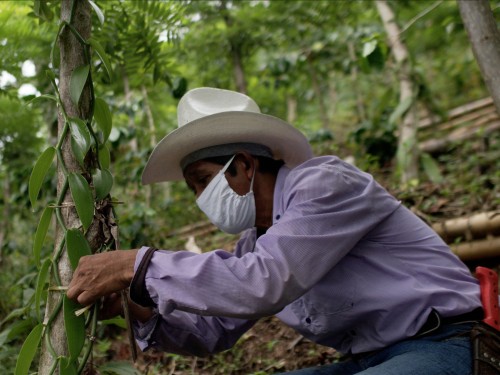 Puebla avanza con una reapertura económica responsable