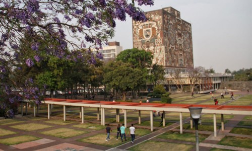 ¿Aburrido en vacaciones de verano? Checa estas actividades en línea que la UNAM tiene para ti