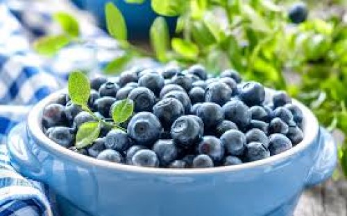 ¿Quieres mejorar tu metabolismo y tu rendimiento mental? Come moras azules