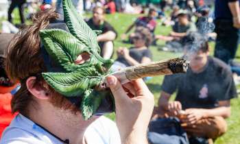 Qué significa 420: la historia del número que se transformó en el código secreto de la marihuana