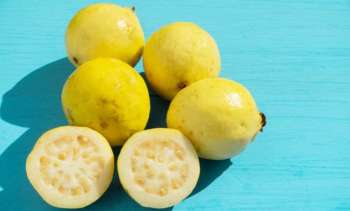 Guayaba, la súper fruta que refuerza tu sistema inmune