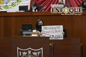 Diputada panista de Tlaxcala rechaza candidatura de Salgado Macedonio; se une a la protesta digital