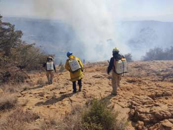 Tlaxcala dentro del top 5 de estados con mayores incendios forestales