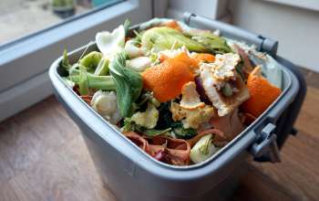 Diez consejos prácticos para reducir el desperdicio de alimentos en casa