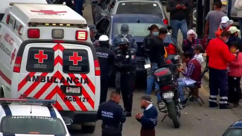  Abejas atacan a varias personas en Central de Abasto