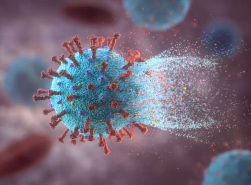 Molnupiravir: El nuevo fármaco capaz de detener Covid-19 en 24 horas, según estudio