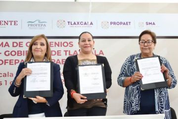 Acuerdan Semarnat y gobierno de Tlaxcala combate a la tala clandestina