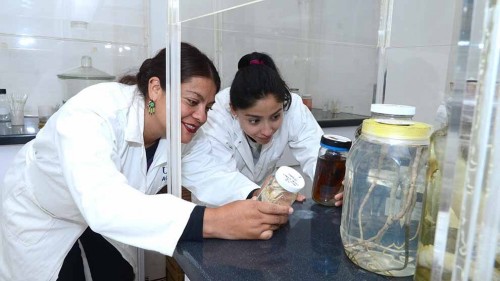 Las mujeres representan en la ciencia sólo el 12% de los miembros de las academias científicas nacionales