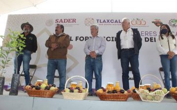 Fruticultores de Tlaxcala pueden cultivar 5 variedades de duraznos