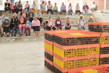 Con entrega de aves para familias atlixquenses arranca programa del ayuntamiento para producción de huevo criollo