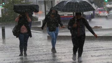 Tormenta tropical 'Celia' ocasionará fuertes lluvias en al menos 13 estados