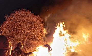 Bomberos extinguen incendio en cerro de San Nicolás 