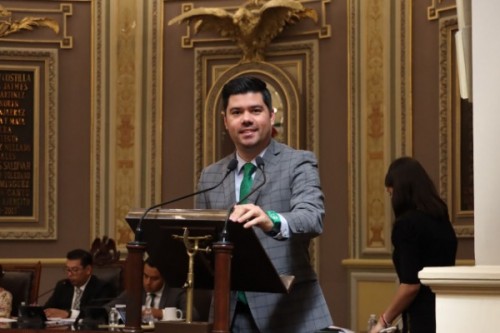 Verde Ecologista contempla participar sin aliados en contiendas por  alcaldías y diputaciones