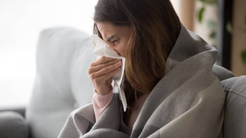 ¡Ahí viene la gripe aviar! OMS advierte sobre posible brote en humanos