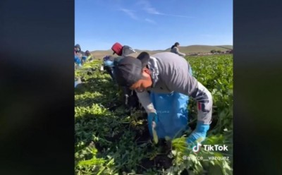 Vídeo de paisano trabajando en USA se hace viral, todo por revelar que gana más de 3 mil pesos al día (Vídeo)