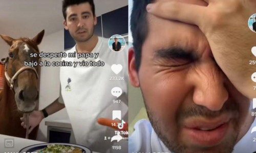 "Por malacopa": Joven ebrio roba caballo y lo lleva a su casa para grabar un Tik Tok (Vídeo)