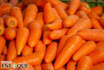 Zanahorias: 5 beneficios que aporta esta fruta