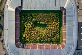 Transforman estadio de futbol en un bosque