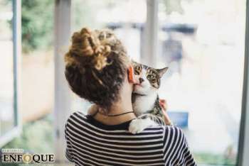 Los gatos sí se preocupan por sus dueños, afirma estudio