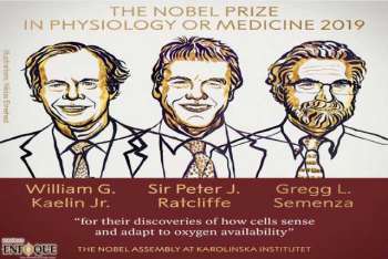 Nobel de Medicina 2019 para biólogos que descifraron cómo las células perciben el oxígeno