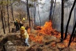 30 mil hectáreas han sido afectadas por incendios forestales en Michoacán 