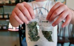 Venta legal de marihuana en EU está recaudando miles de millones de dólares