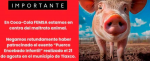 Coca-Cola FEMSA y G-TiDE niegan patrocinio del “Puerco Encebado”