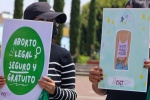Foto: Cortesía Aborto en Tlaxcala: Legisladores debaten sin fecha clara de aprobación