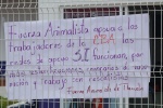 Rescatistas y animalistas demandan a CBA no privilegiar intereses políticos
