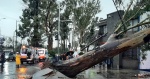 Lluvias y ráfagas azotan Puebla: Protección Civil atiende emergencias